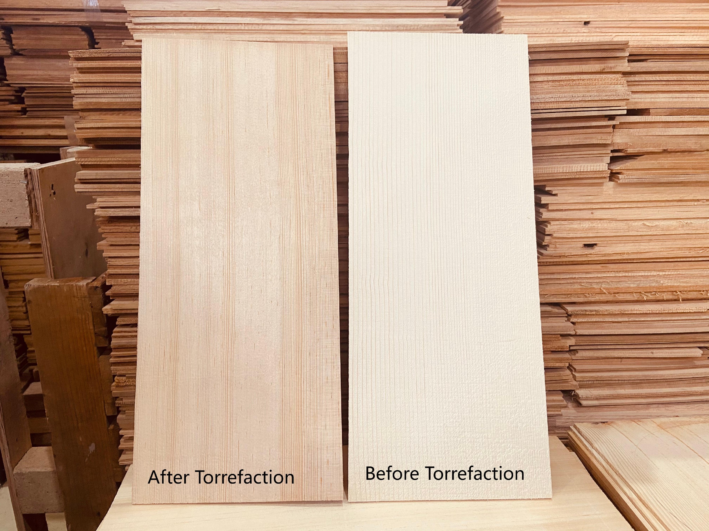 Top Torrefaction Comparison.jpg